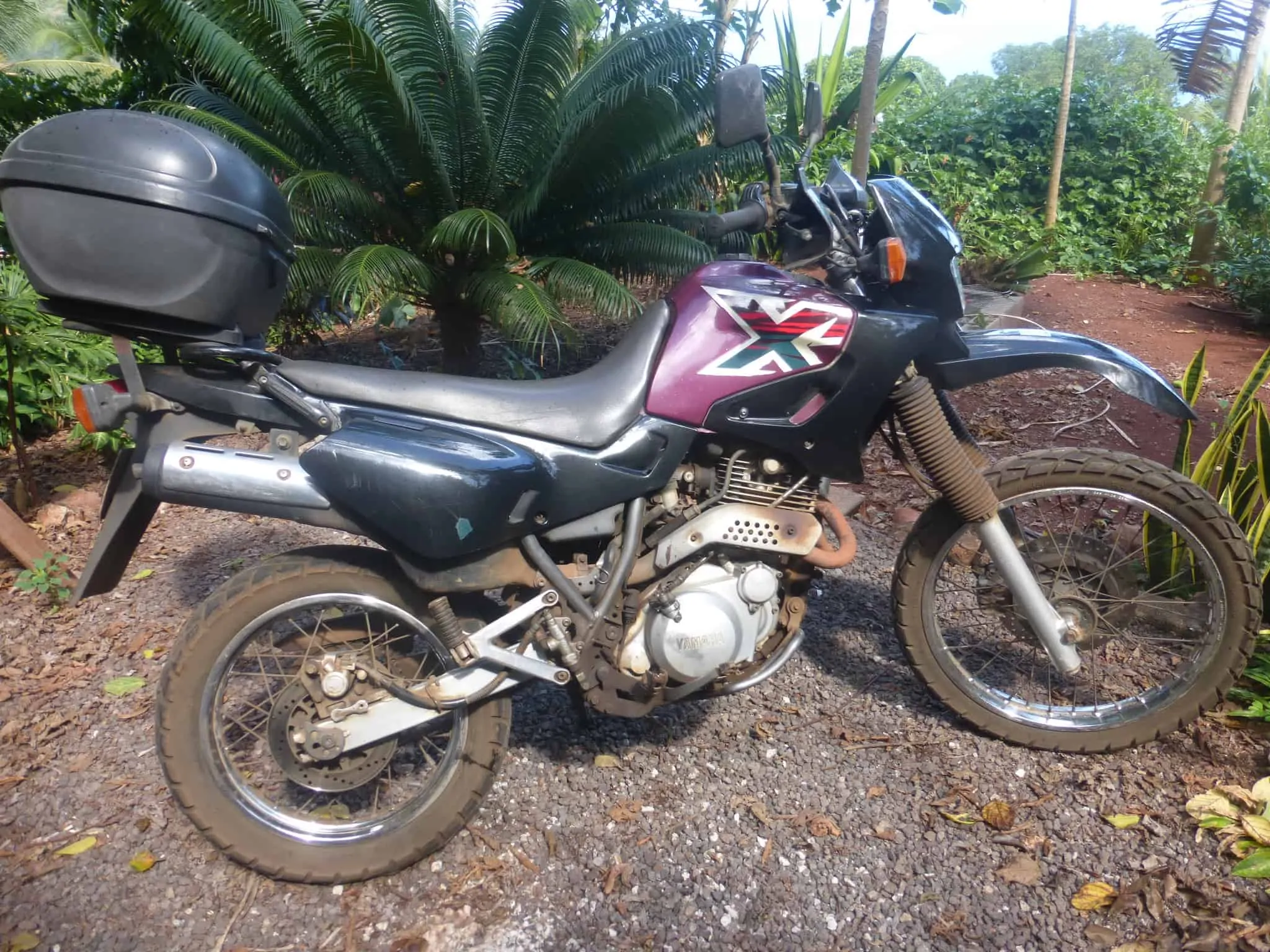 YAMAHA 600 XT