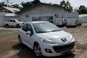 Vend Peugeot 207