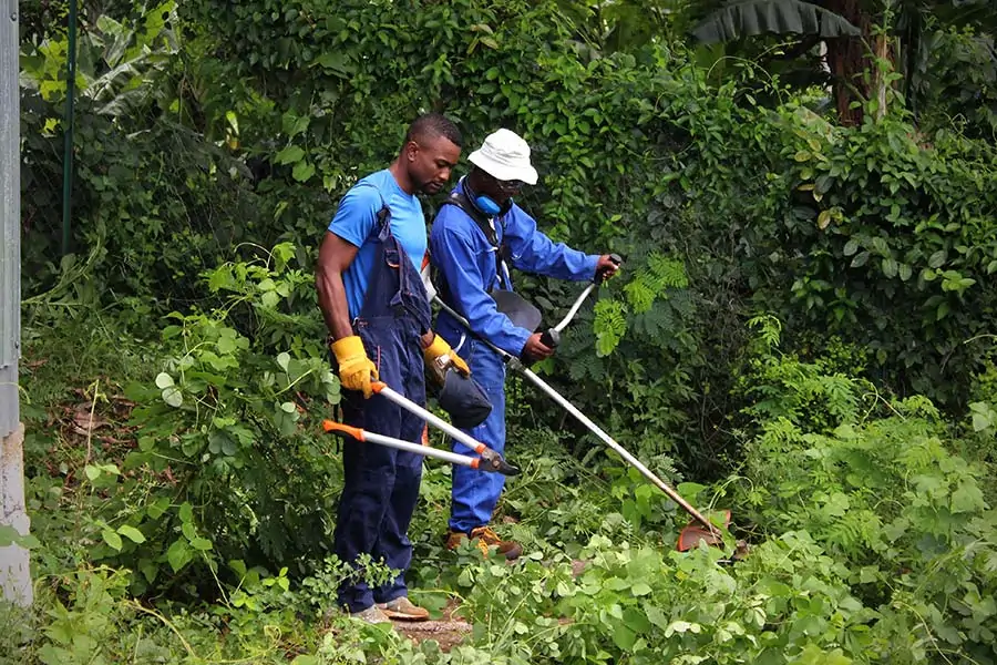 centre-educatif-renforce-mayotte-mineurs-delinquants-reinsertion-8