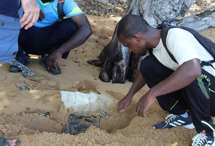 pas-de-repos-pour-les-suiveurs-de-tortues-braconnees-mayotte