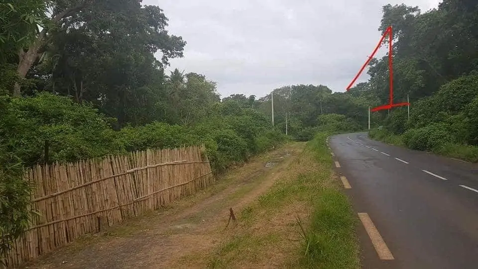 vol-deux-roues-trafic-juteux-mayotte-comores