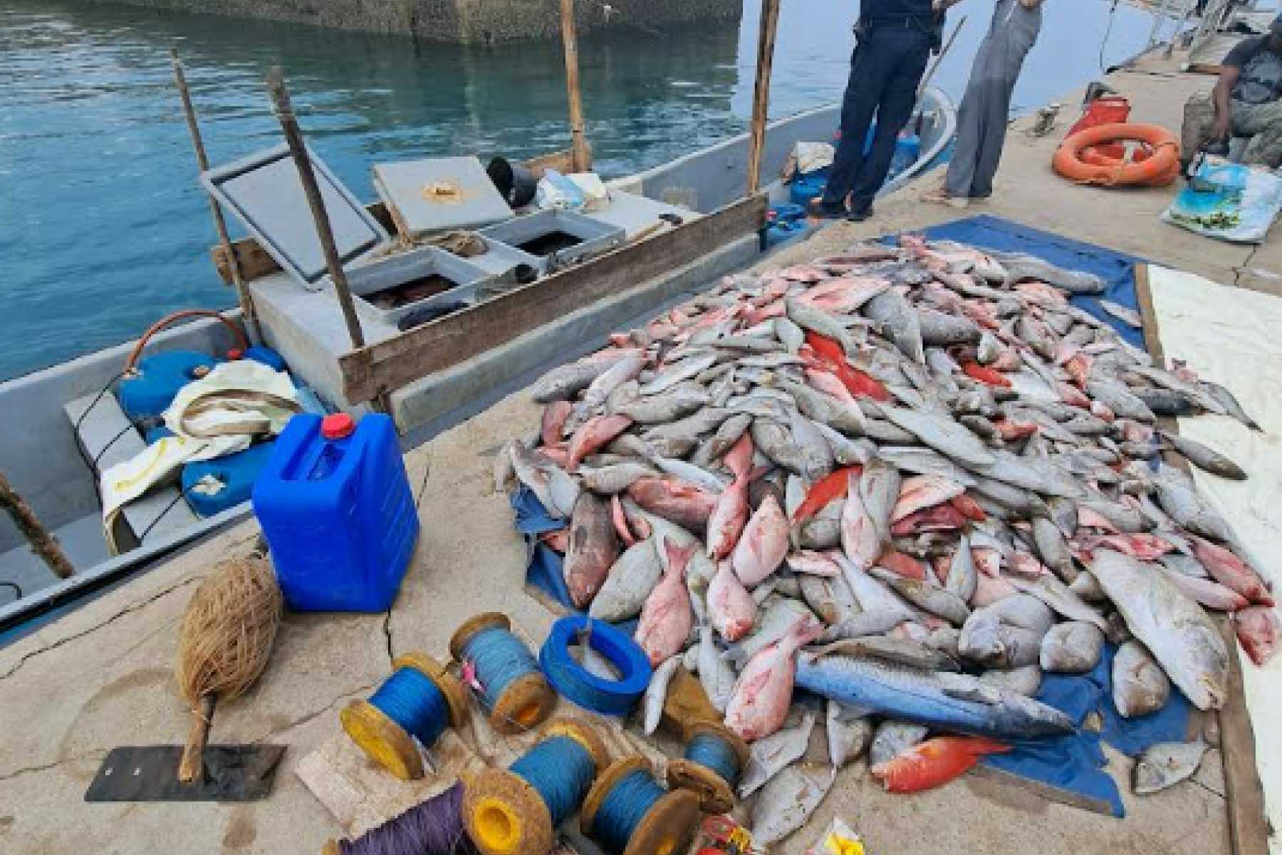 cargaison-illegale-35-tonnes-poissons-arretee-large-mayotte