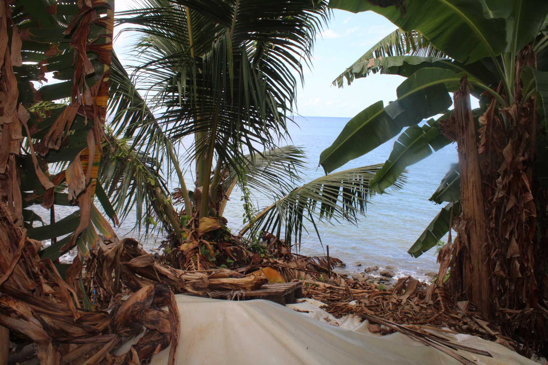 tribune-libre-erosion-marine-pourquoi-mayotte-rate-trains-reglementaires