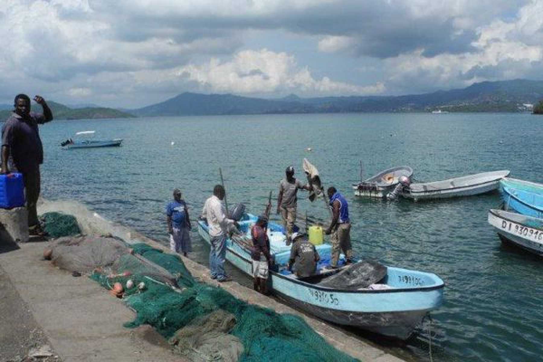 bilan-parcellaire-letat-populations-poissons-mayotte