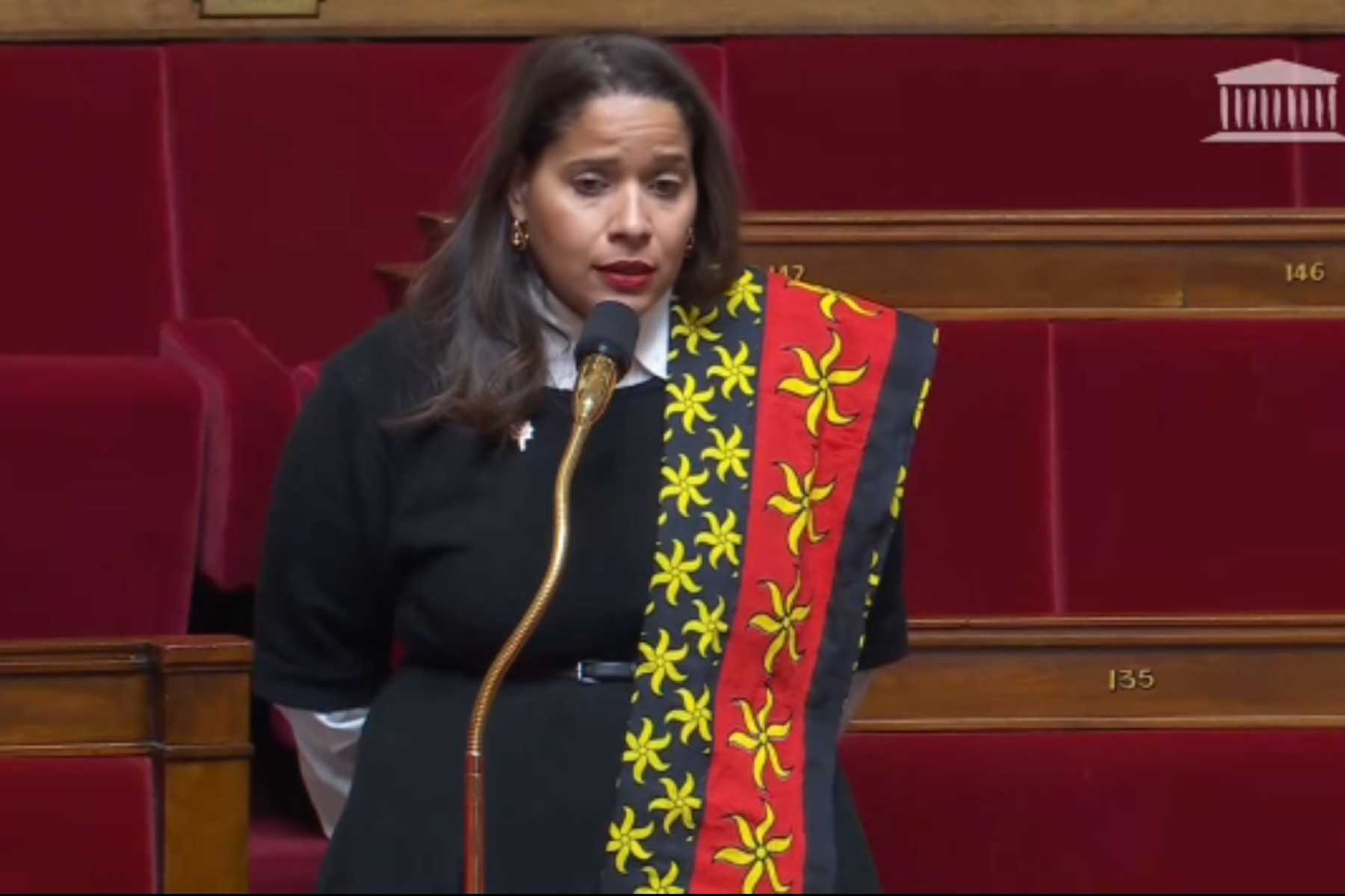 estelle-youssouffa-interpelle-le-gouvernement-au-sujet-de-leau