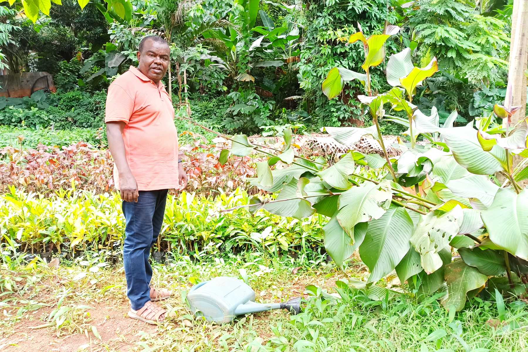 le-syndicat-des-eleveurs-de-mayotte-selargit-pour-etre-davantage-soutenu