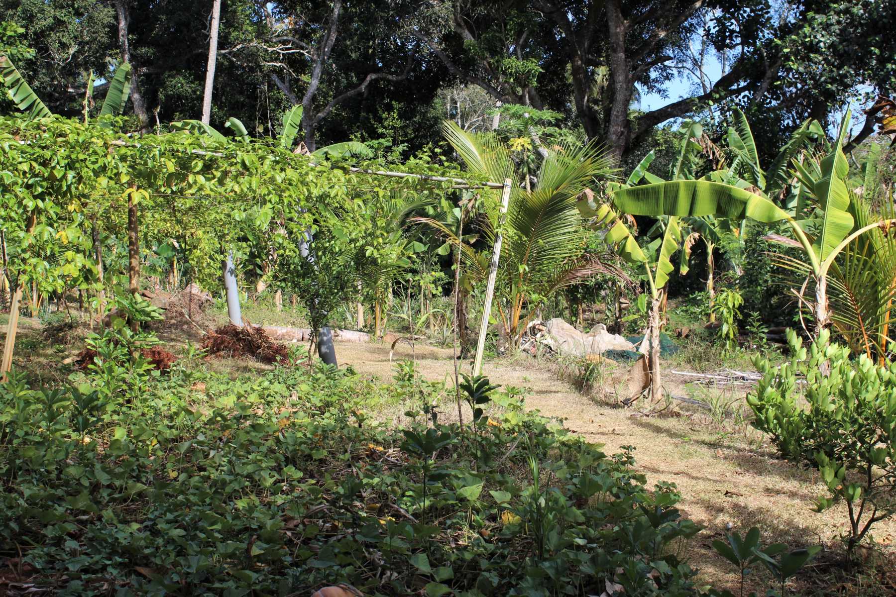 lepineuse-question-du-foncier-agricole-mahorais-discutee-au-senat