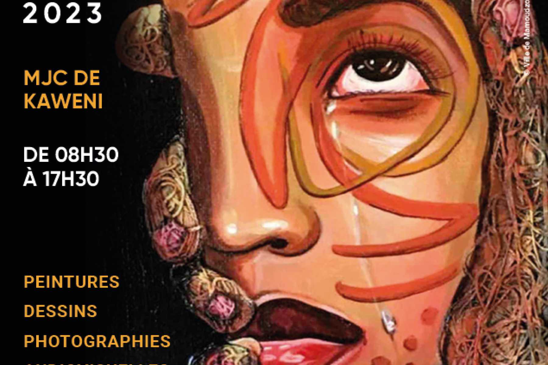 mamoudzou-exposition-les-artistes-sexposent-sur-le-theme-un-livre-une-image