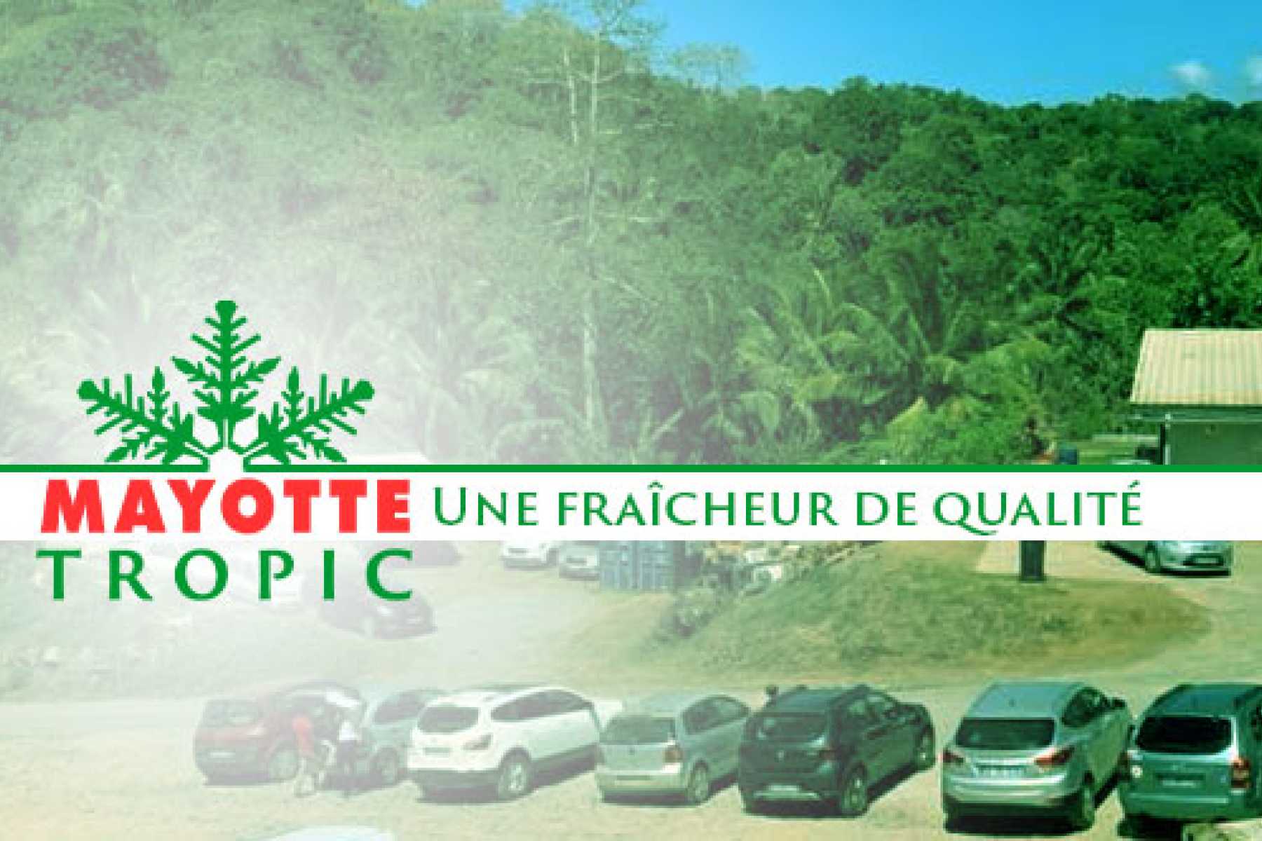 categorie-entreprise-dynamique-mayotte-tropic