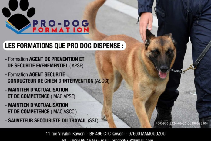 erratum-pro-dog-formation-trophees-mahorais-de-lentreprise