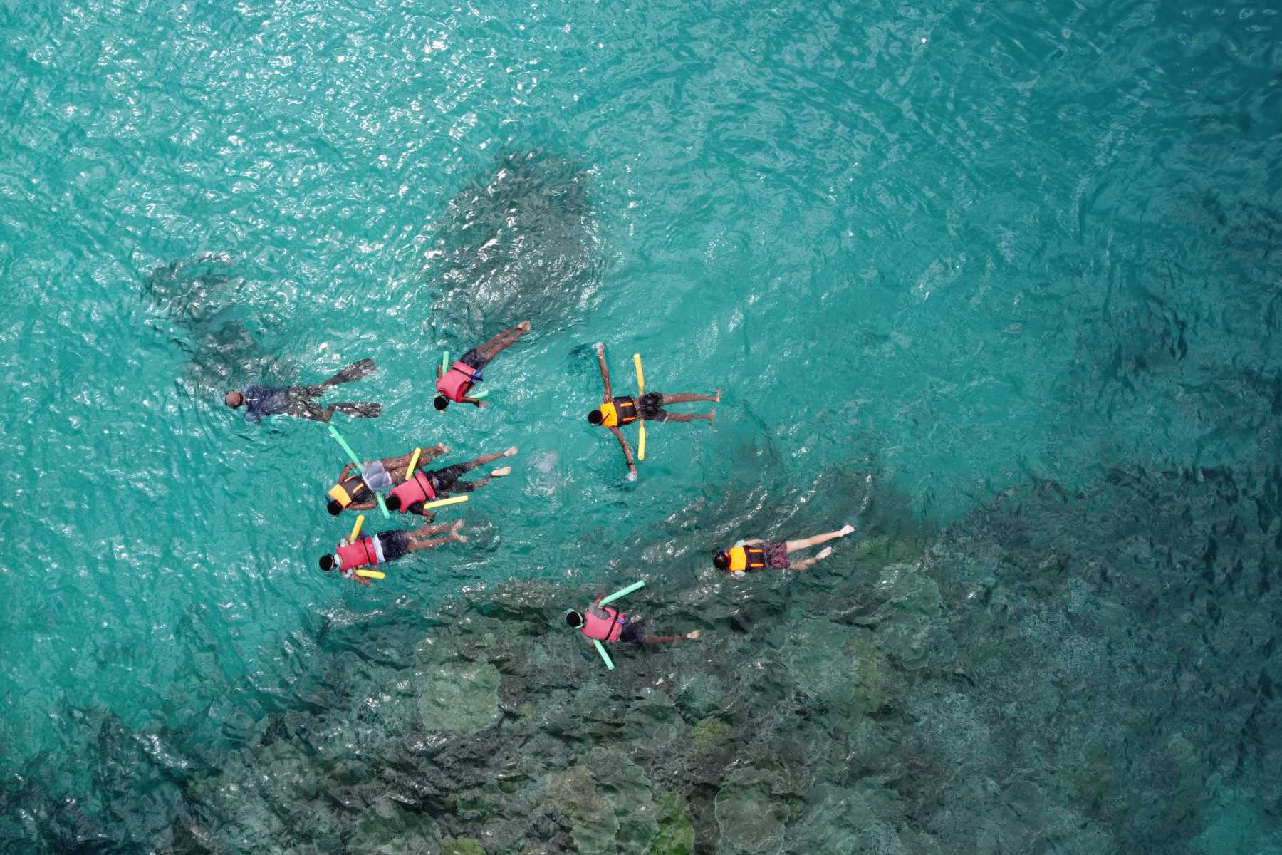 soixante-collegiens-en-expedition-scientifique-sur-le-lagon