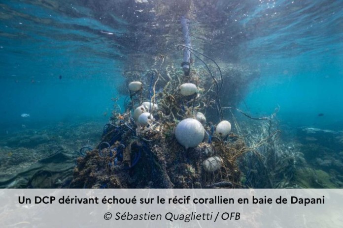 un-dispositif-de-concentration-de-poissons-sechoue-a-dapani