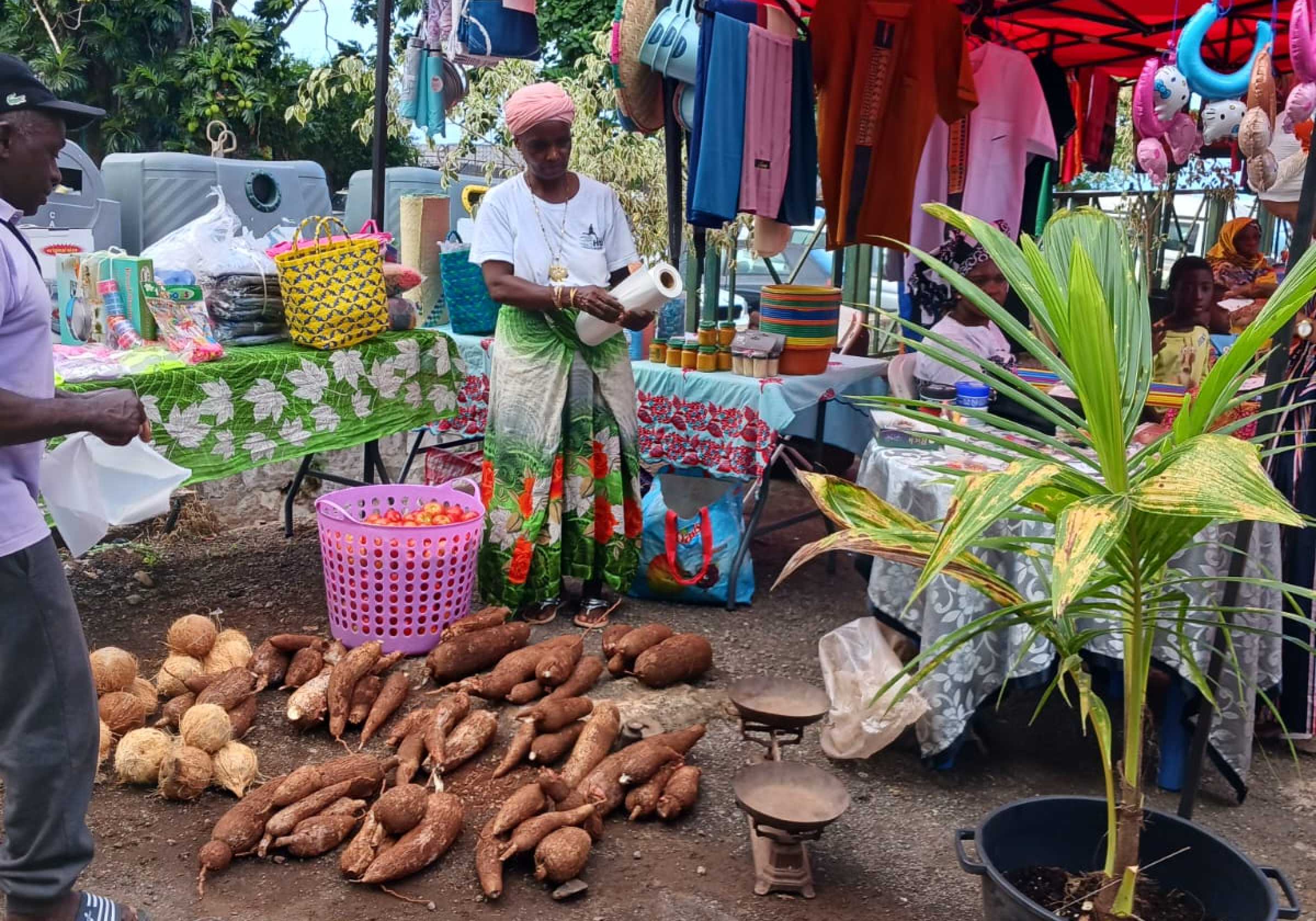 la-foire-agricole-du-nord-se-poursuit-a-bandraboua