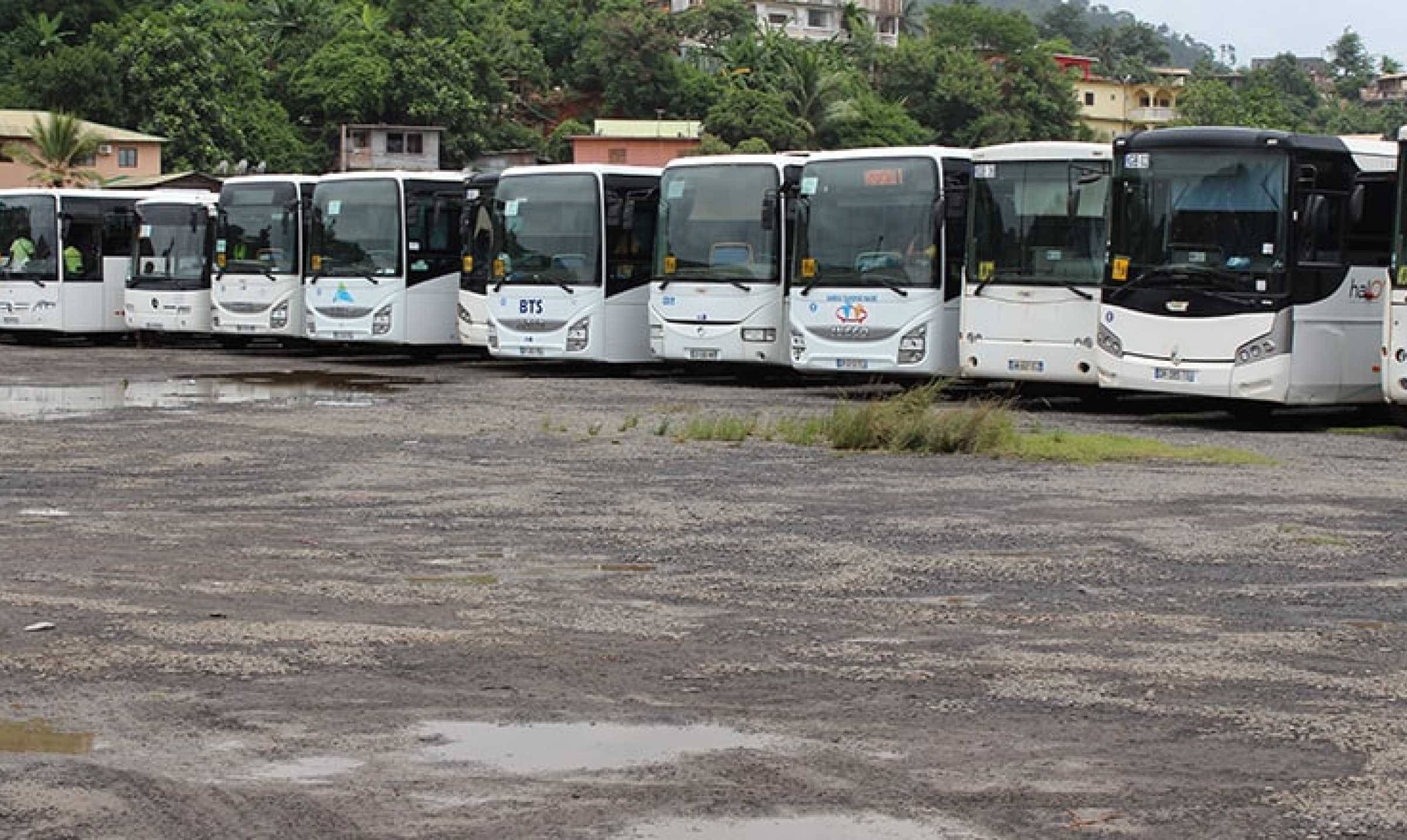 quatre-bus-caillasses-chaque-jour-selon-le-reseau-halo