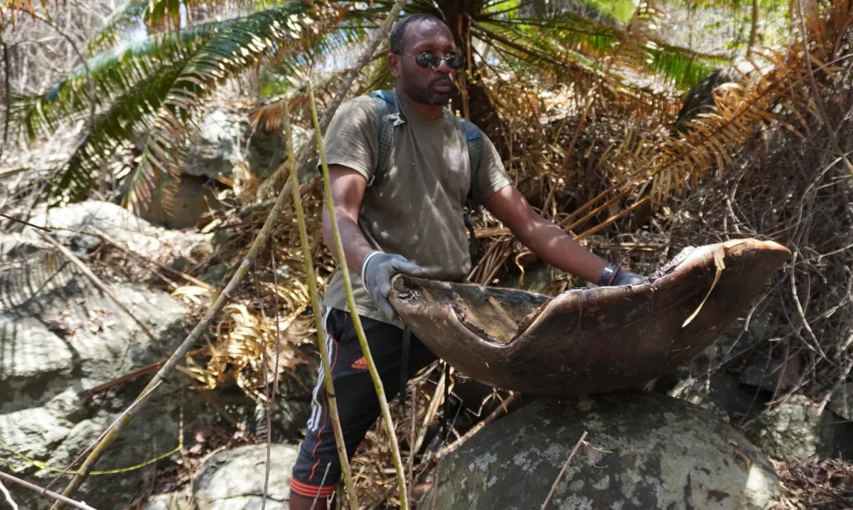 video-reportage-sur-la-plage-de-charifou-pour-constater-les-ravages-du-braconnage-de-tortues