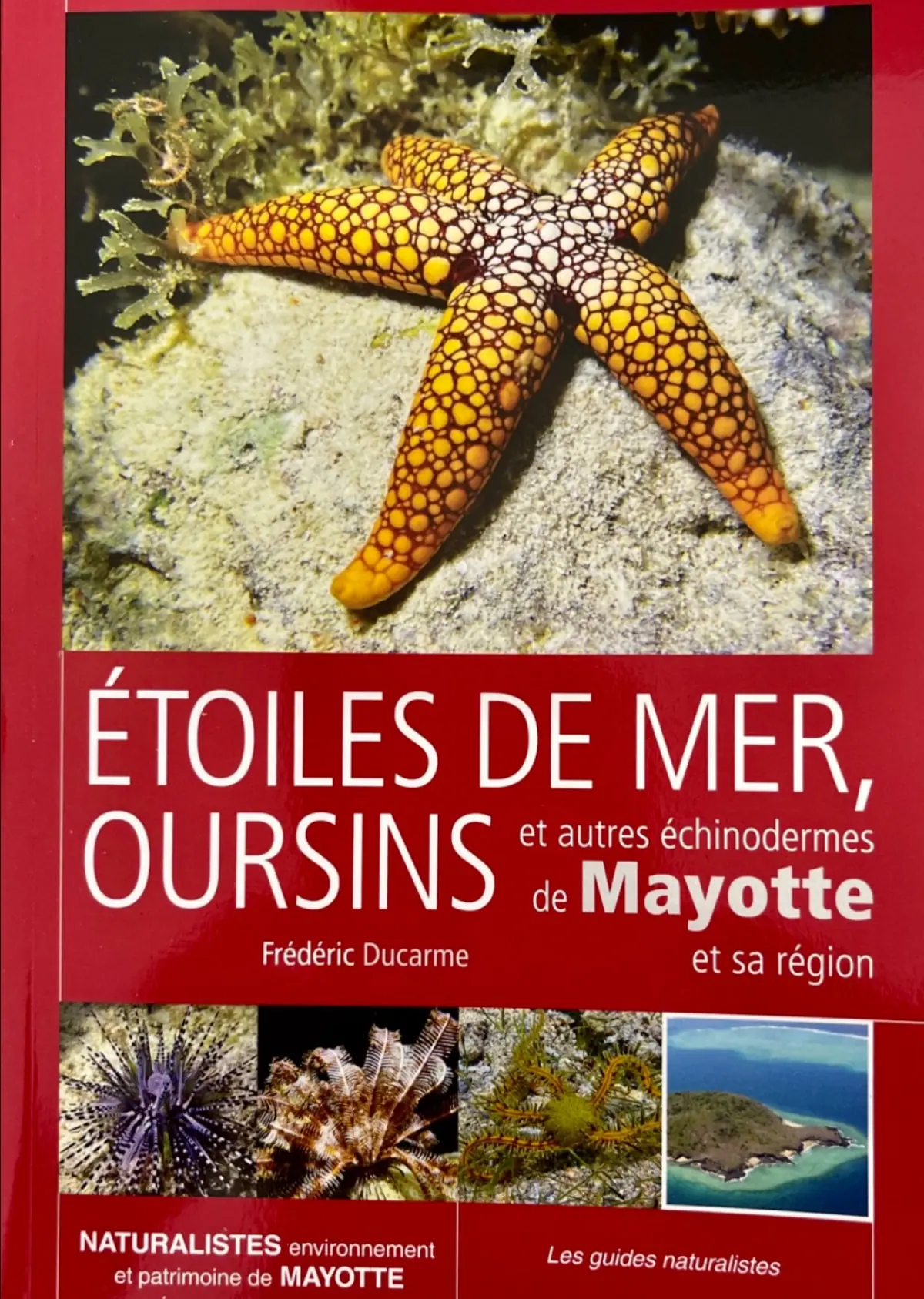 un-nouveau-guide-sur-la-faune-sous-marine