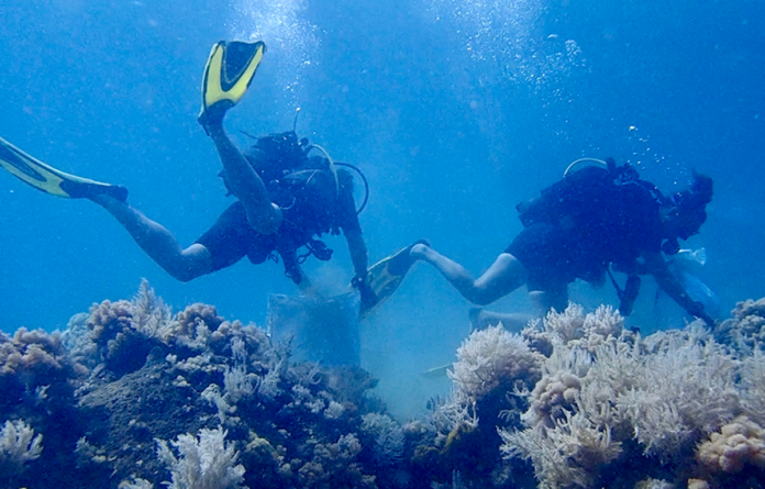 on-a-vu-des-etoiles-de-mer-mais-aussi-beaucoup-de-canettes