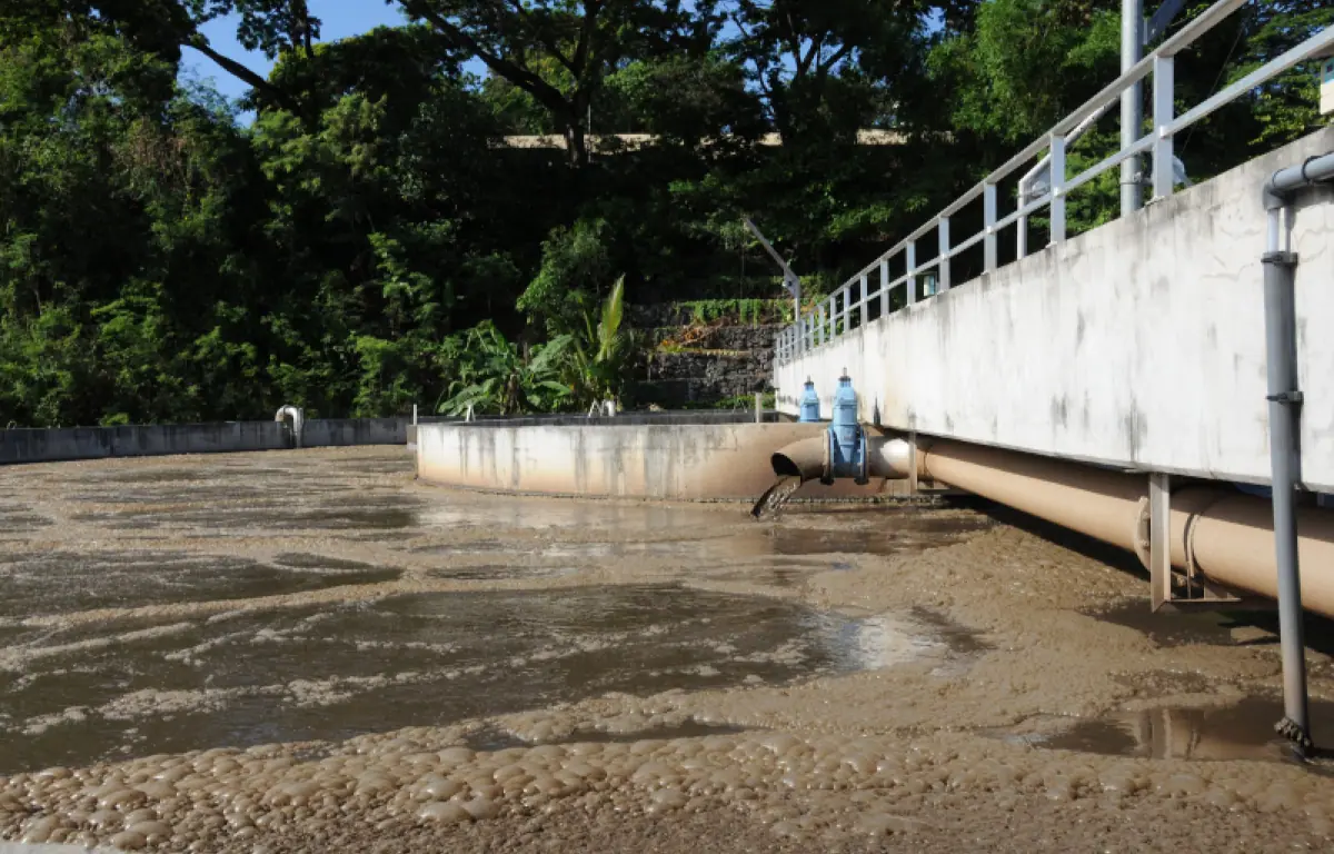 la-commission-environnement-de-mayotte-lance-lalerte