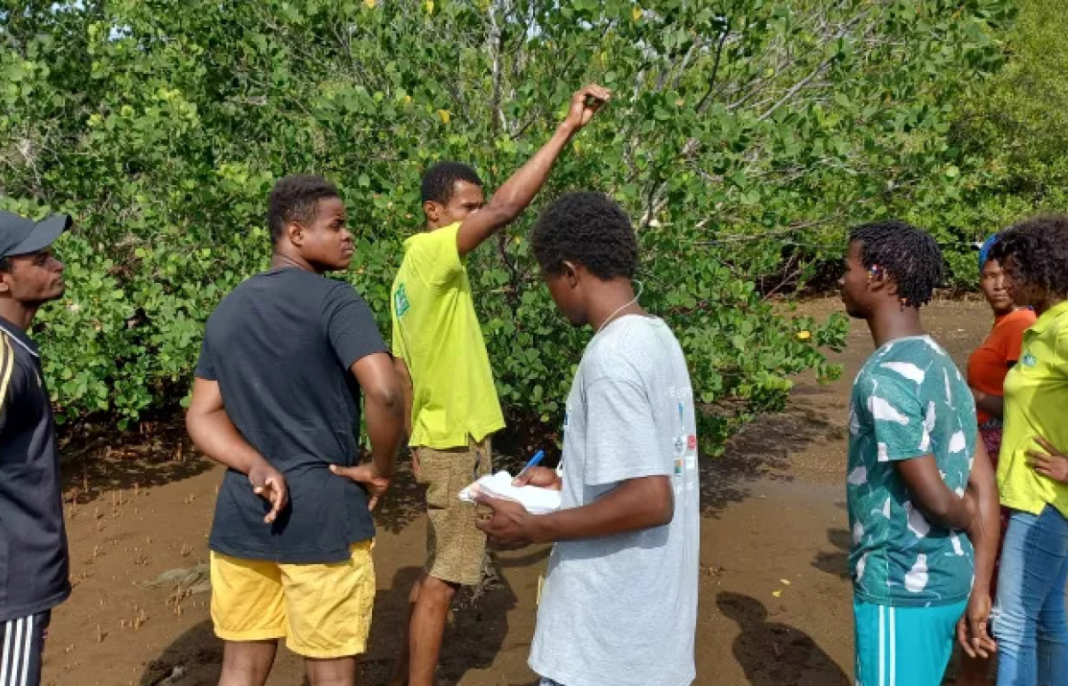 decouvrir-mangrove-tsimkoura