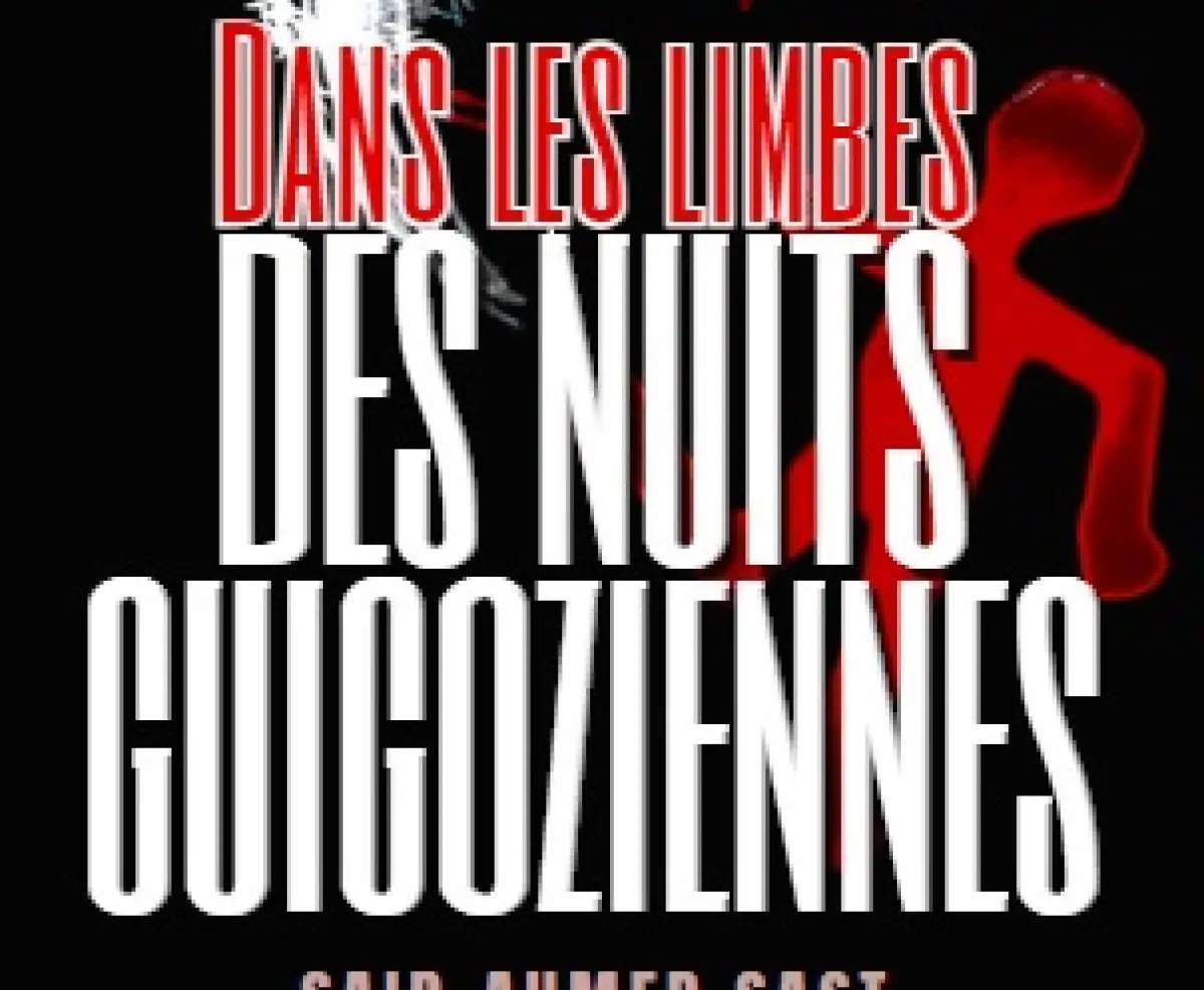 dans-limbes-des-nuits-guigoziennes-une-critique-poetique-pouvoir-aux-comores