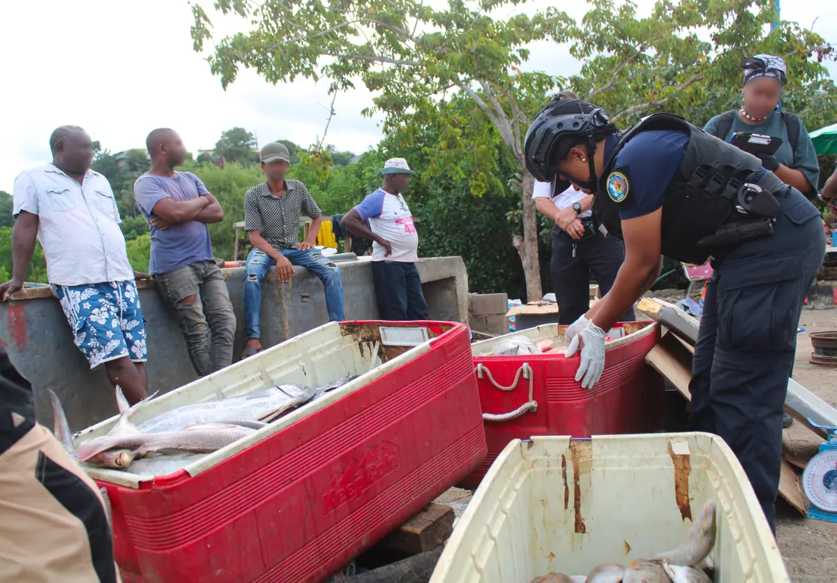 peche-illegale-pres-dune-tonne-poissons-saisis-port-mtsapere-lundi