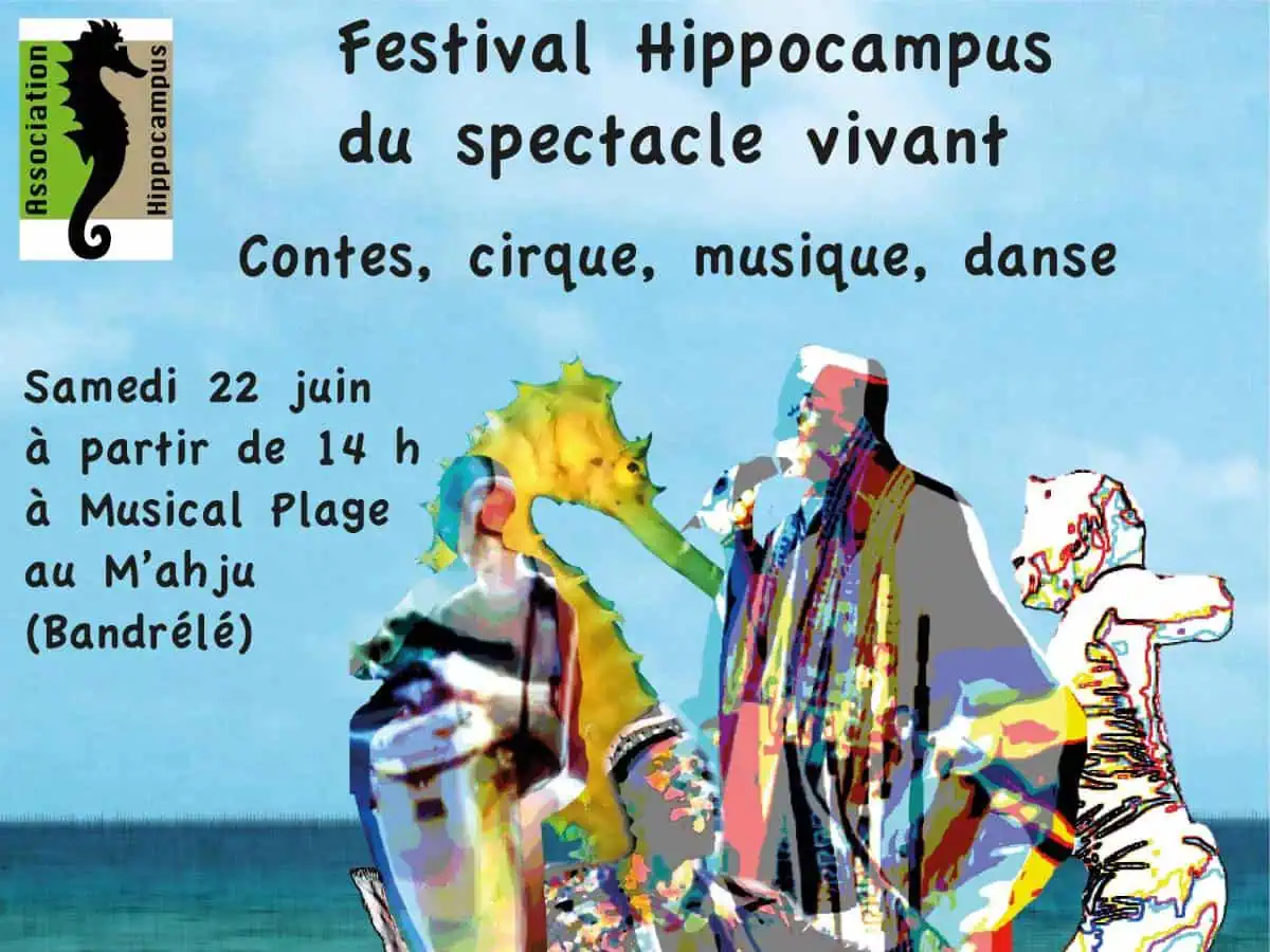 le-festival-hippocampus-a-bandrele-ce-samedi