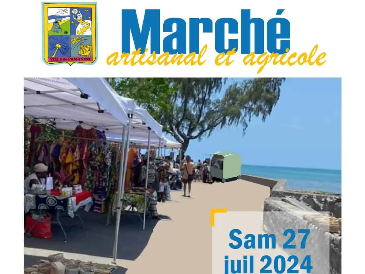 marche-agricole-a-pamandzi-le-27-juillet