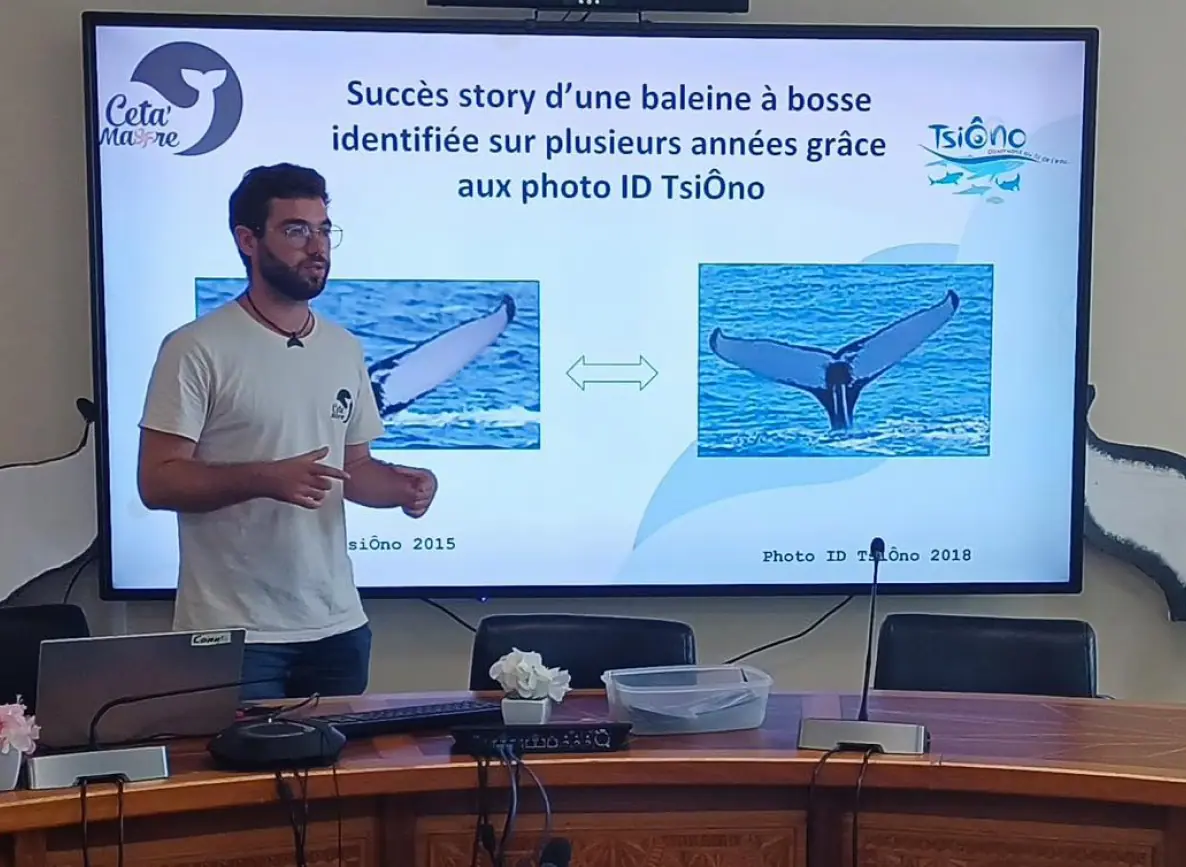 une-formation-pour-observer-les-baleines-et-dauphins-de-mayotte