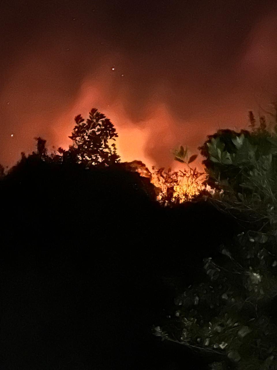 les-feux-de-vegetation-saccumulent-avec-le-vent-et-la-culture-sur-brulis