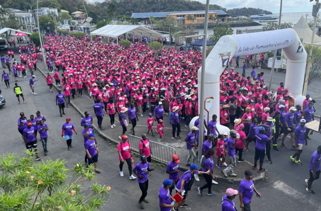 000-personnes-participent-a-la-marche-damalca-a-mamoudzou