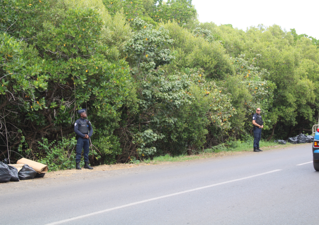 corps-retrouve-dans-la-mangrove-pas-delement-permettant-lidentification