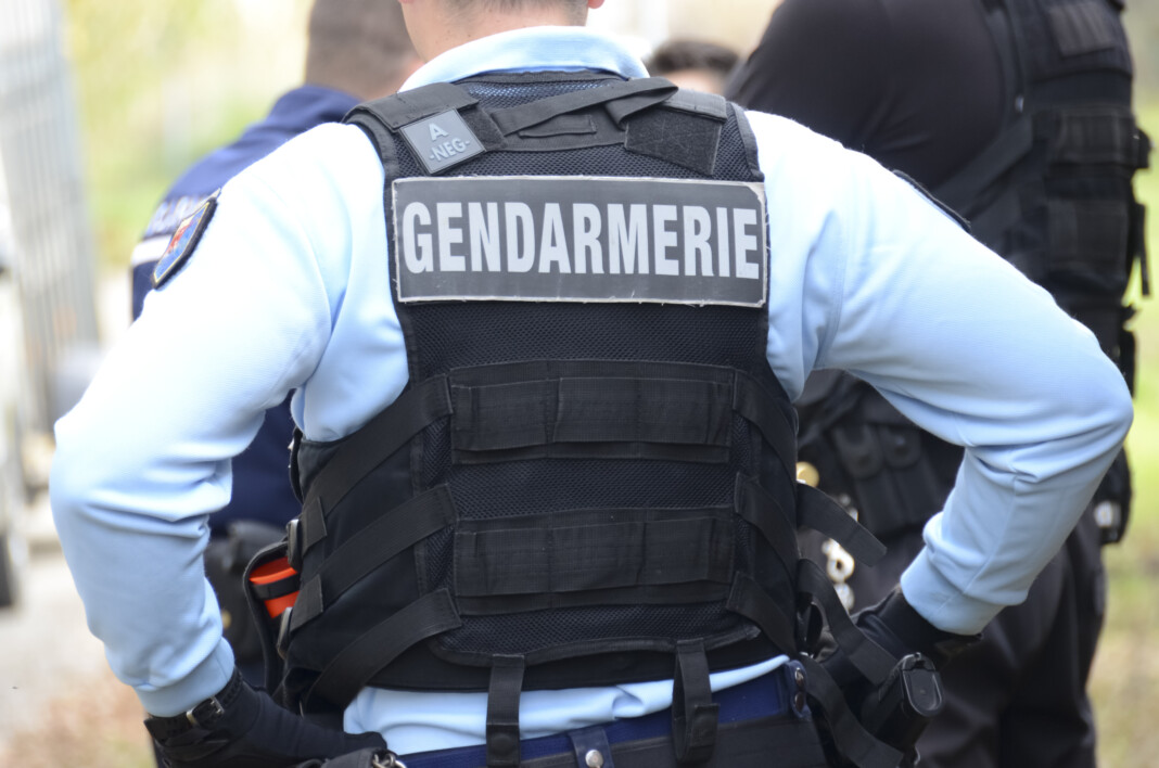 meurtre-a-longoni-un-appel-a-temoignages-lance-par-la-gendarmerie