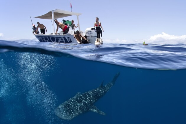 nosy-be-plonger-dans-la-reserve-marine-de-nosy-tanikely