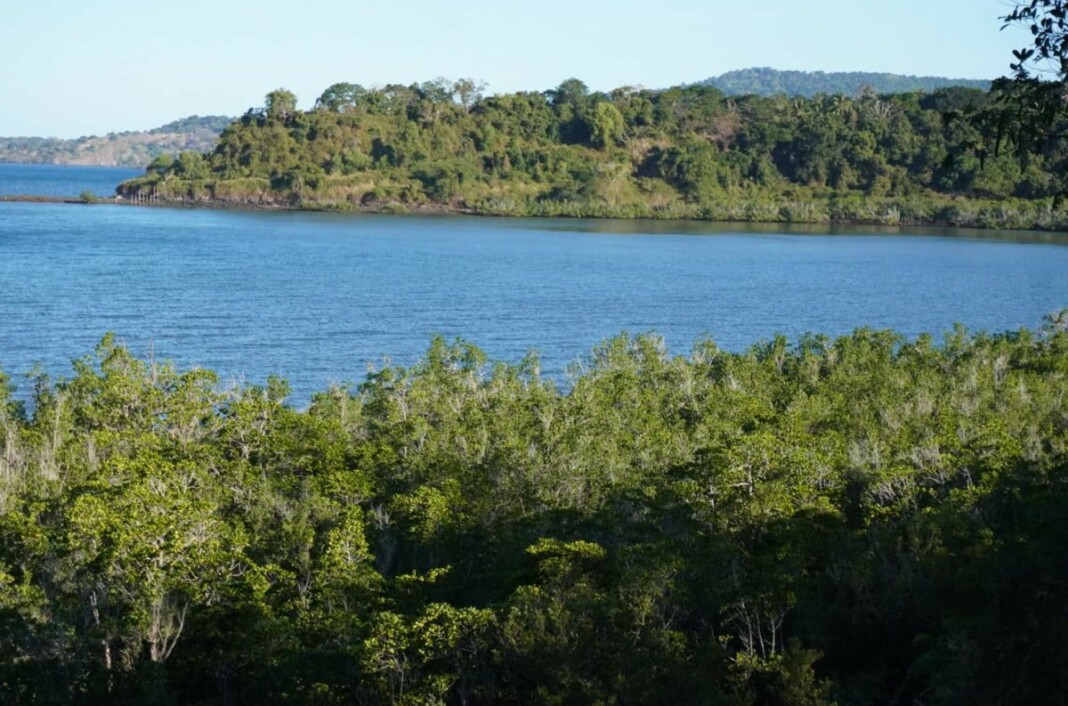 usine-dironi-be-le-parc-naturel-marin-de-mayotte-donne-son-feu-vert-mais-avec-des-reserves