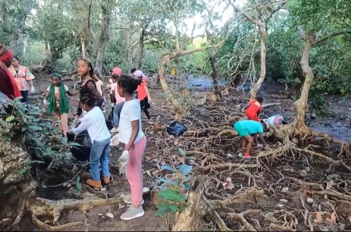 trophees-de-lenvironnement-cinq-etablissements-scolaires-tres-au-fait-de-leur-milieu-naturel