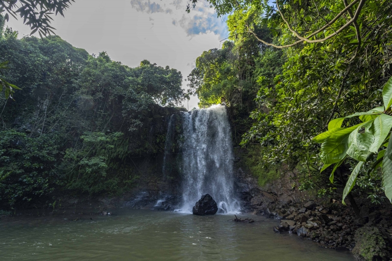 trophees-de-lenvironnement-cinq-structures-qui-protegent-une-ressource-si-precieuse-a-mayotte-leau