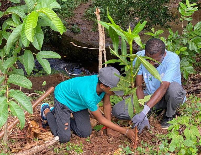 trophees-de-lenvironnement-cinq-structures-qui-protegent-une-ressource-si-precieuse-a-mayotte-leau