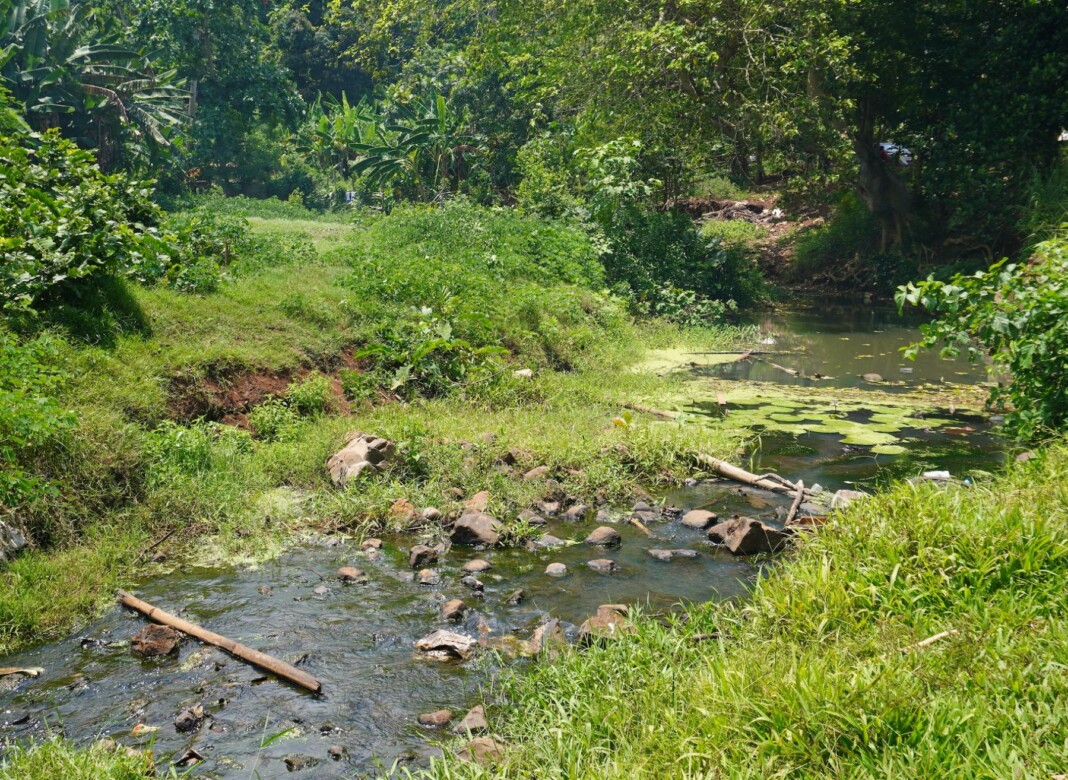 le-projet-de-restauration-de-la-riviere-de-bouyouni-commence