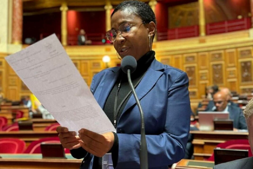 immigration-irreguliere-la-senatrice-ramia-demande-des-mesures-concretes-au-gouvernement