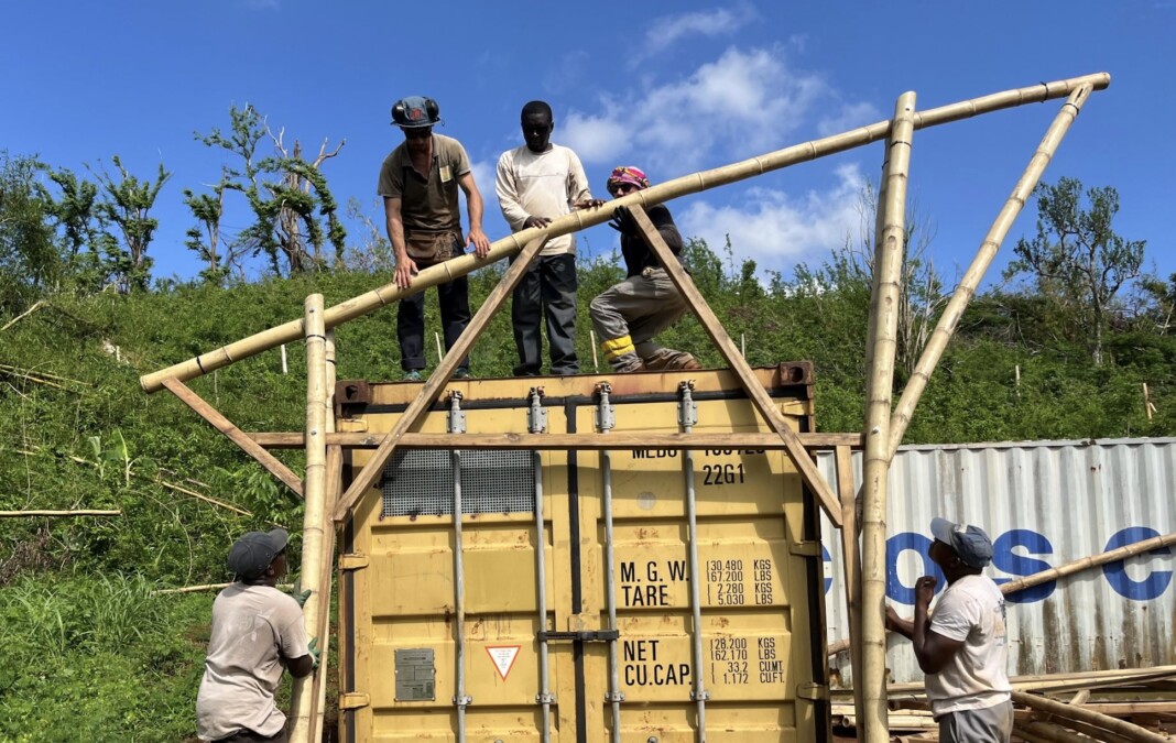 la-filiere-bambou-peut-elle-se-developper-apres-chido