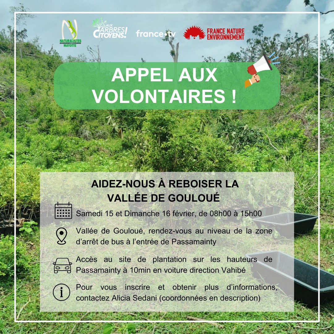 les-naturalistes-appellent-le-public-a-participer-a-la-reforestation