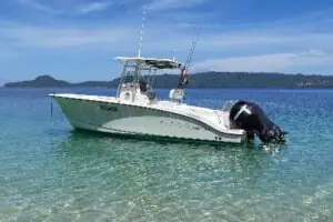 Magnifique bateau pêche promenade