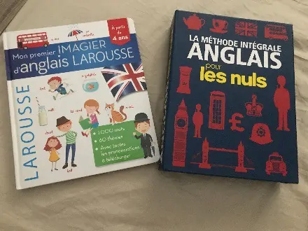 LAROUSSE ANGLAIS + ANGLAIS POUR LES NULS