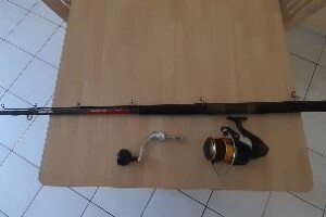 Vends Canne + moulinet pêche en mer