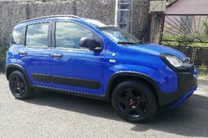 Vente Fiat panda 2019 III 1.2 69 S/S City cross