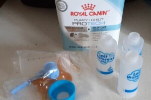 kit alimentation pour chiots